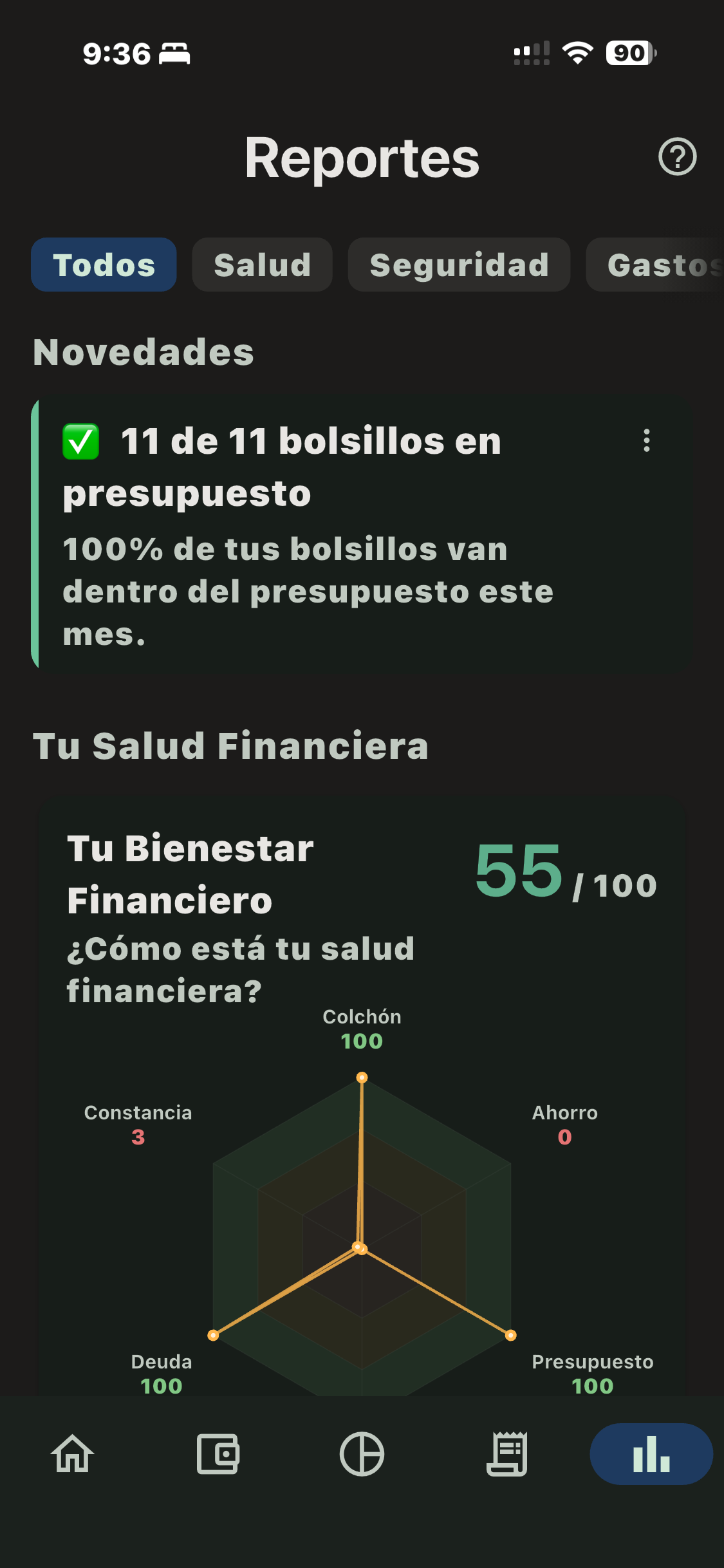 Reportes en Bolsillos